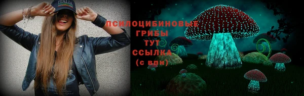 прущий лед Балахна