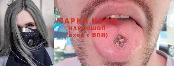 сатива Баксан