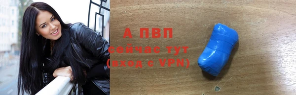 сатива Баксан