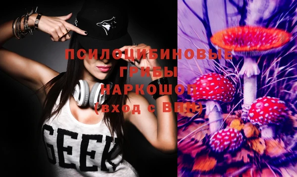 сатива Баксан