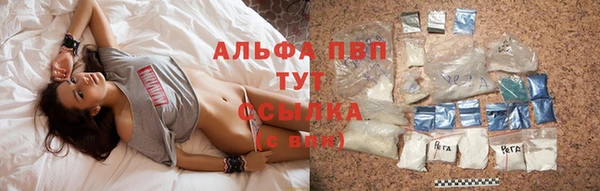 сатива Баксан