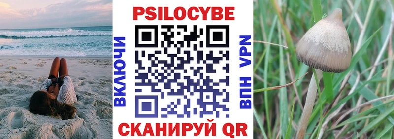 Псилоцибиновые грибы MAGIC MUSHROOMS купить закладку Безенчук